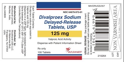 Divalproex DR Tablets_Container Labels_125 mg_100 Tab.jpg bottle label - Divalproex DR Tablets Container Labels 125 mg 100 Tab